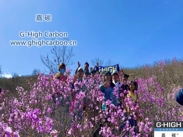 山野映山紅遍，嘉碳不負(fù)春光