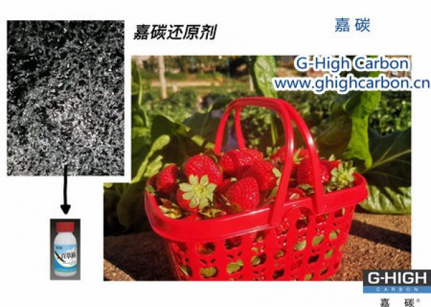 嘉碳還原劑守護(hù)“莓”好，甜蜜上線
