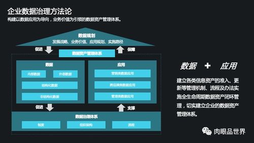 集團數據管控與數據治理 一體化解決方案與高效數據處理服務